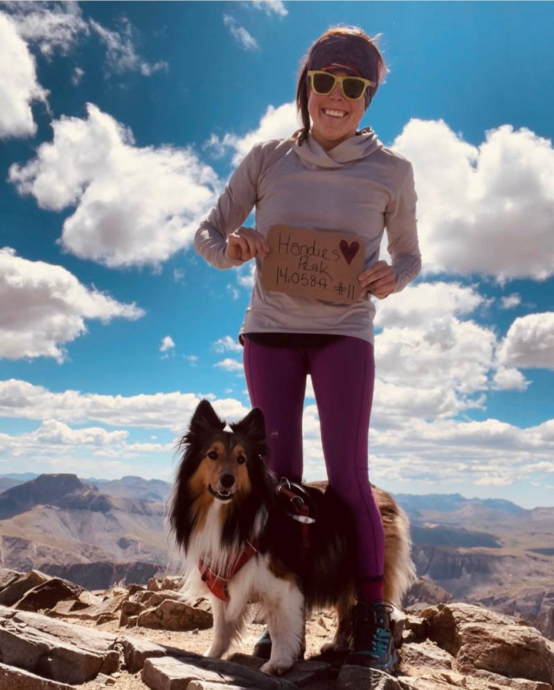 Nederland Veterinary Hospital Providing small animal veterinary care in western Boulder County